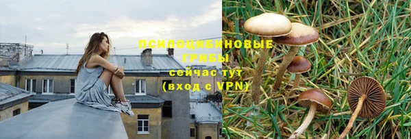 марки lsd Алексеевка
